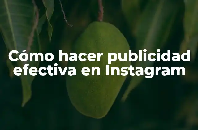 Cómo Hacer Publicidad Efectiva en Instagram 2 Cómo hacer publicidad efectiva en Instagram