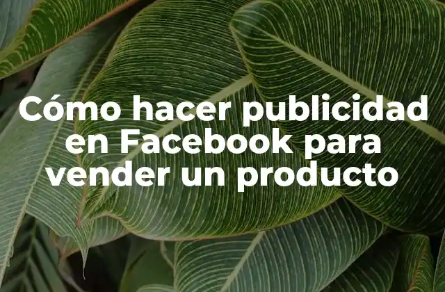 Cómo Hacer Publicidad en Facebook para Vender un Producto