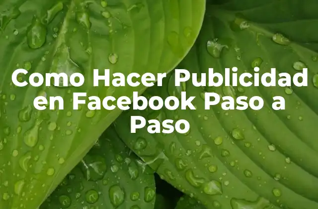 Como Hacer Publicidad en Facebook Paso a Paso