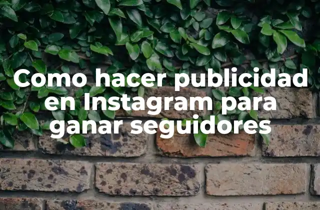 Como Hacer Publicidad en Instagram para Ganar Seguidores