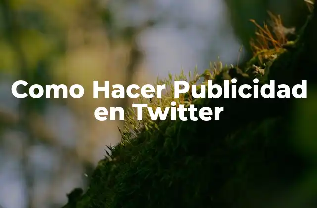 Como Hacer Publicidad en Twitter
