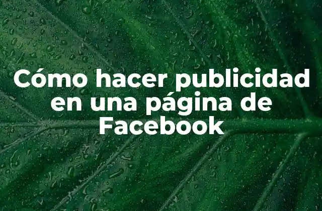 Cómo Hacer Publicidad en una Página de Facebook
