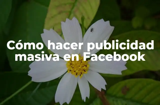 Cómo Hacer Publicidad Masiva en Facebook