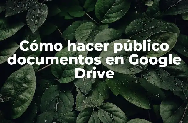 Cómo Hacer Público Documentos en Google Drive