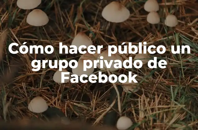 Cómo Hacer Público un Grupo Privado de Facebook