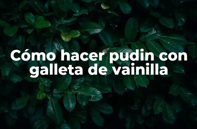 Cómo Hacer Pudin con Galleta de Vainilla