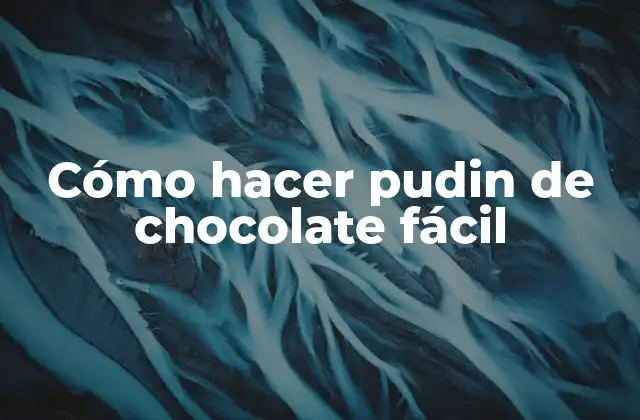 Cómo Hacer Pudin de Chocolate Fácil