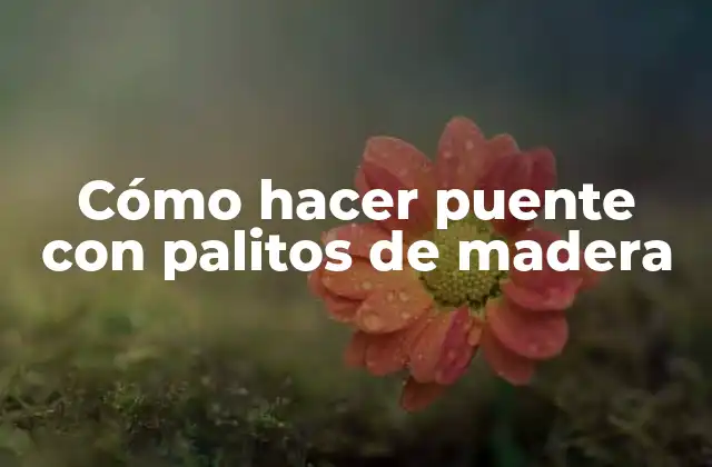 Cómo Hacer Puente con Palitos de Madera