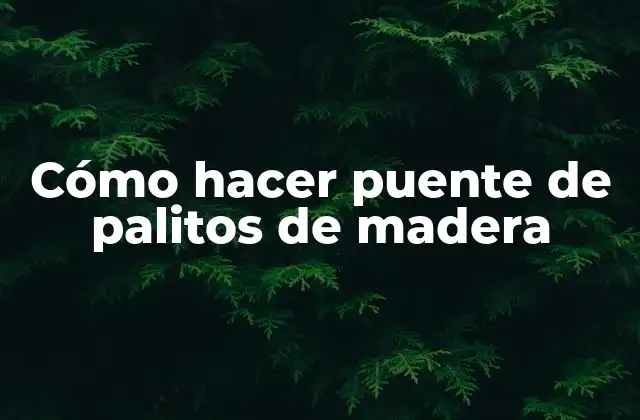Cómo Hacer Puente de Palitos de Madera