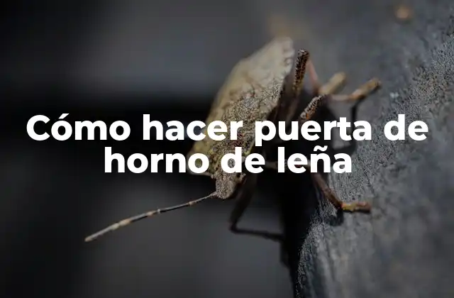 Cómo Hacer Puerta de Horno de Leña