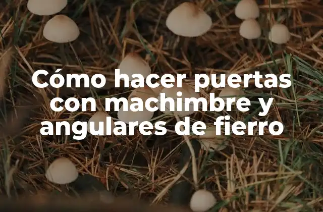 Cómo Hacer Puertas con Machimbre y Angulares de Fierro