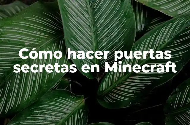 Cómo Hacer Puertas Secretas en Minecraft