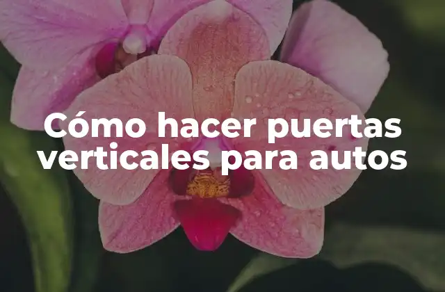 Cómo Hacer Puertas Verticales para Autos