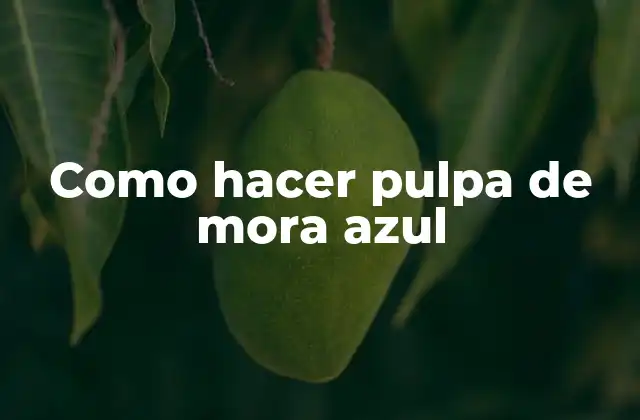 Como Hacer Pulpa de Mora Azul