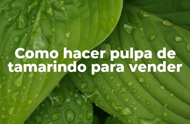 Como Hacer Pulpa de Tamarindo para Vender