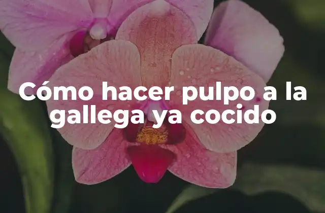 Cómo Hacer Pulpo a la Gallega Ya Cocido