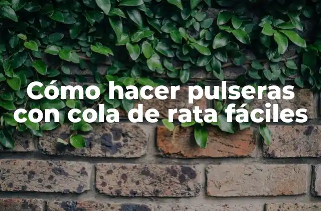 Cómo Hacer Pulseras con Cola de Rata Fáciles 2 Cómo hacer pulseras con cola de rata fáciles