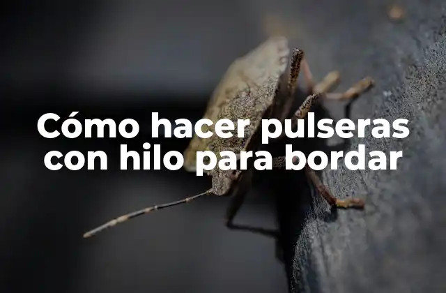 Cómo Hacer Pulseras con Hilo para Bordar