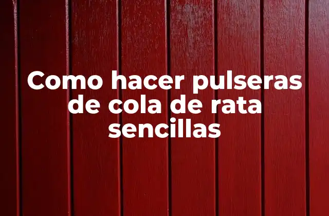 ¿Qué son las pulseras de cola de rata sencillas?