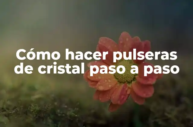 Cómo Hacer Pulseras de Cristal Paso a Paso