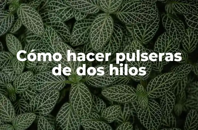 Cómo Hacer Pulseras de Dos Hilos