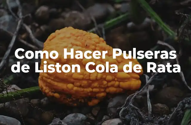 Como Hacer Pulseras de Liston Cola de Rata