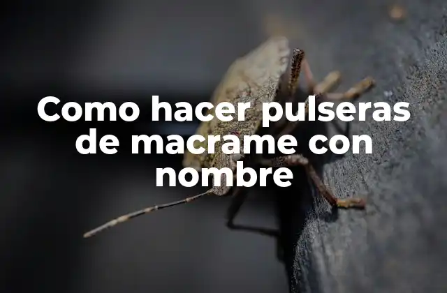 Como Hacer Pulseras de Macrame con Nombre