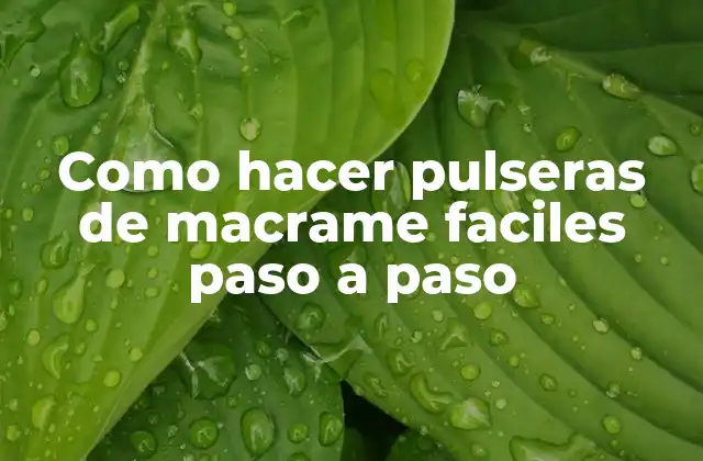 Como Hacer Pulseras de Macrame Faciles Paso a Paso