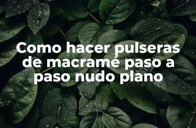 Como Hacer Pulseras de Macramé Paso a Paso Nudo Plano