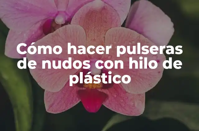 Cómo Hacer Pulseras de Nudos con Hilo de Plástico
