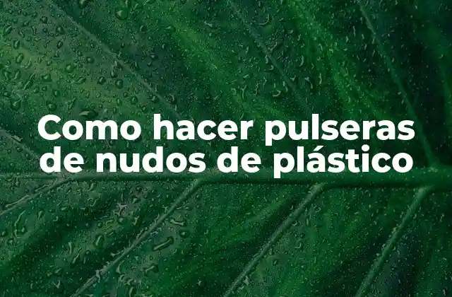 Como Hacer Pulseras de Nudos de Plástico
