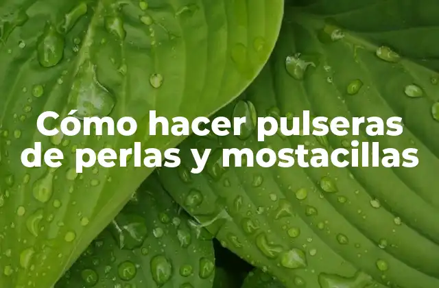 Cómo Hacer Pulseras de Perlas y Mostacillas