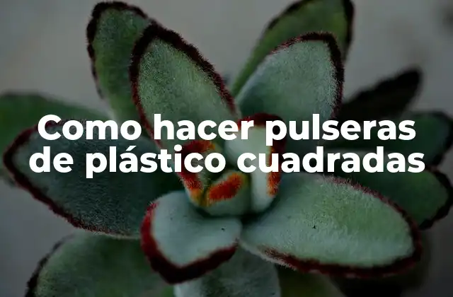 Como Hacer Pulseras de Plástico Cuadradas