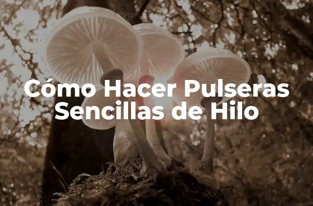 Cómo Hacer Pulseras Sencillas de Hilo
