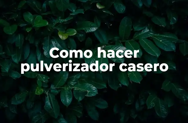 Como Hacer Pulverizador Casero