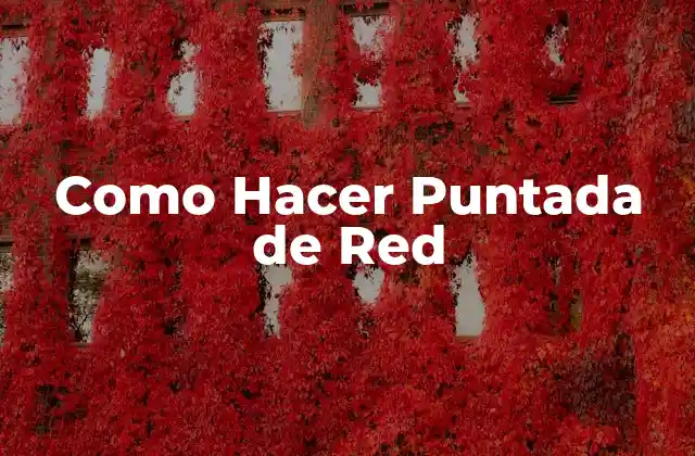 Como Hacer Puntada de Red 2 ¿Qué es una Puntada de Red y para Qué Sirve?