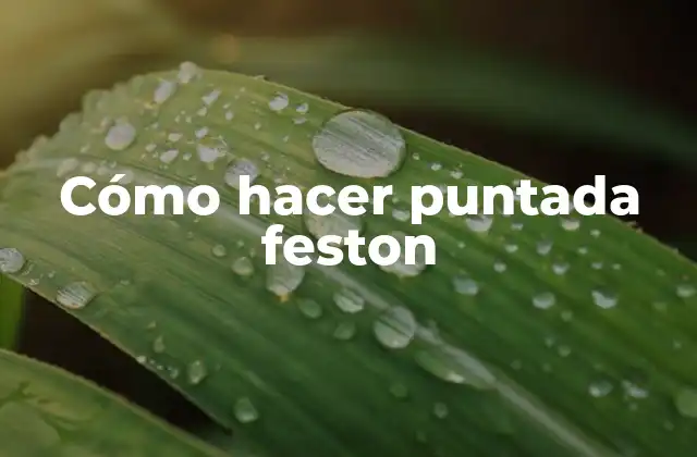 Cómo Hacer Puntada Feston