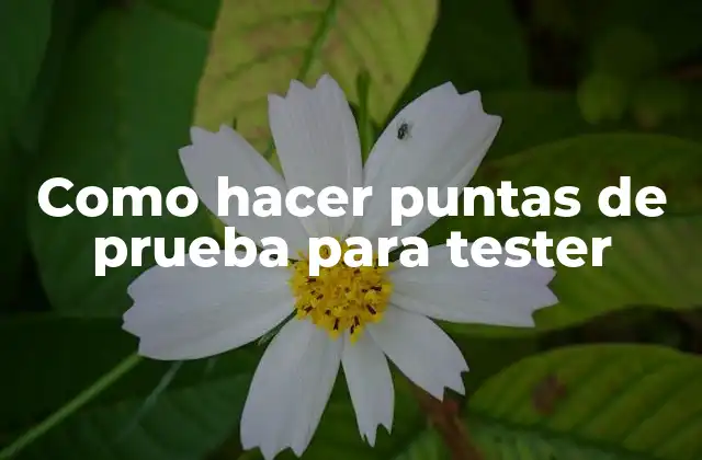 Como Hacer Puntas de Prueba para Tester