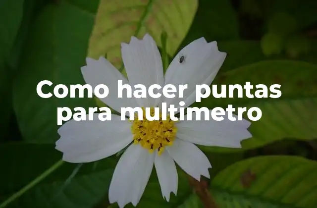 Como Hacer Puntas para Multimetro 2 ¿Qué son las puntas para multimetro y para qué sirven?
