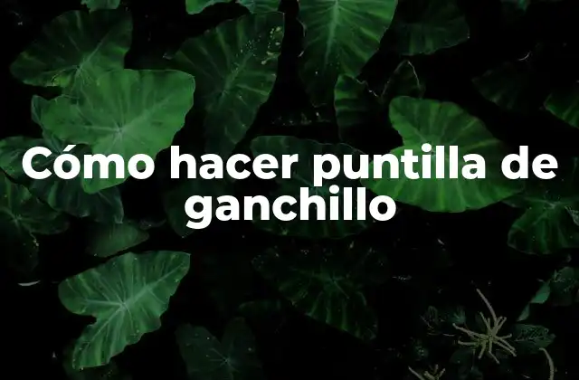 Cómo Hacer Puntilla de Ganchillo