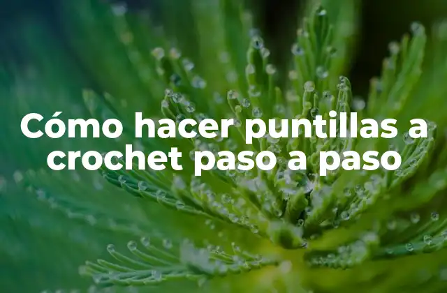 Cómo Hacer Puntillas a Crochet Paso a Paso