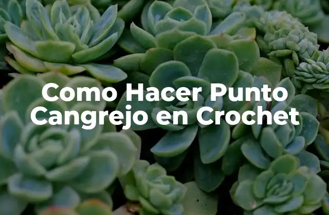 Como Hacer Punto Cangrejo en Crochet