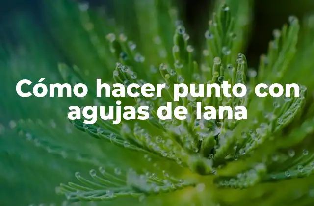 Cómo Hacer Punto con Agujas de Lana