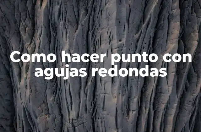 Como Hacer Punto con Agujas Redondas