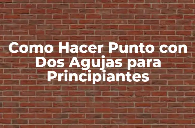 Como Hacer Punto con Dos Agujas para Principiantes