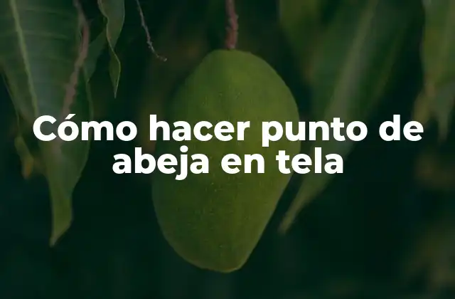 Cómo Hacer Punto de Abeja en Tela