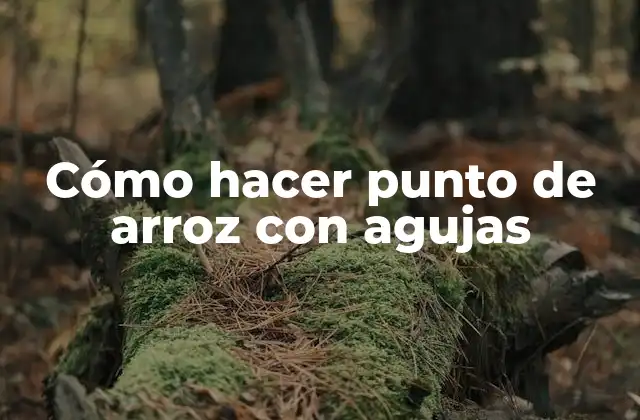 Cómo Hacer Punto de Arroz con Agujas