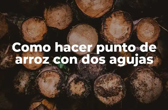 Como Hacer Punto de Arroz con Dos Agujas