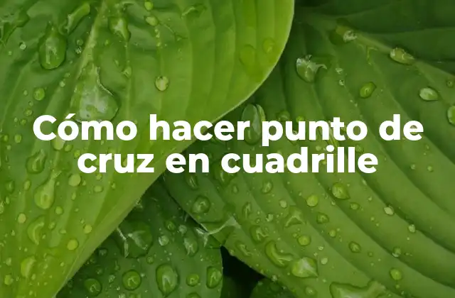 Cómo Hacer Punto de Cruz en Cuadrille
