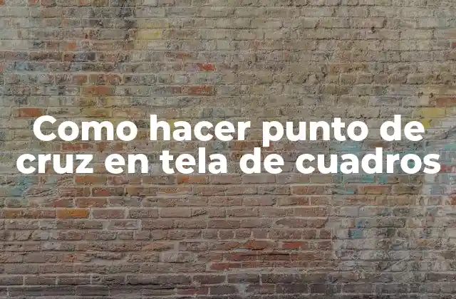 Como Hacer Punto de Cruz en Tela de Cuadros
